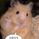 휘닉스모텔 이미지