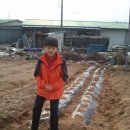 연수네농장 이미지