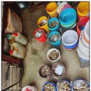 마검포레져하우스가족독채수영장 이미지