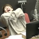 천사강아지 이미지