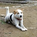 놀아줘 - 영등포구 선유동1로 6-7 | 놀아줘