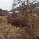 여주-1099 이미지