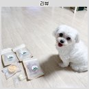 견공수라상 이미지