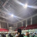 대박짐 복싱 이미지