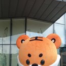 청와대사랑채 티스토리
