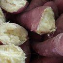 해남가스충전소 이미지