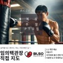 BLSO 복싱 아카데미 네이버블로그