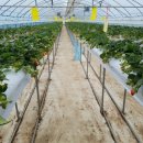 새서울농장 이미지