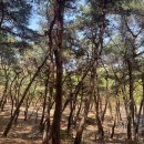 연암공원 이미지