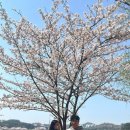 호랭이왕족발 이미지