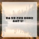 미소체형관리
