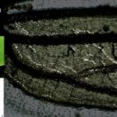 작은날개2 이미지