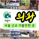 금천천 | 서울 근교 가볼만한곳 의왕 여행 - 청계사 바라산자연휴양림 왕송호수 레솔레파크 의왕스카이레일 의왕...