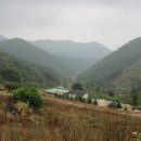 차량골농원 이미지