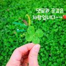 일본 오사카 돈키호테 쇼핑 리스트 /돈키호테 쇼핑 후기 / 추가 구매템