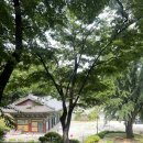 은선사 | 이천 절, 이천 사찰 / 효양산에 있는 은선사