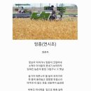 망종 이미지