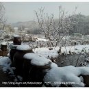 시골농장 이미지