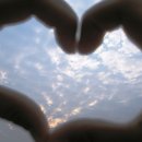 반딧불이 캠프 이미지