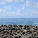 서림연대 이미지