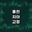 홍천군 치아교정 잘하는 전문치과 병원 추천 | 비용 후기 설측교정 돌출입 앞니 투명 무턱 부분 교정기...
