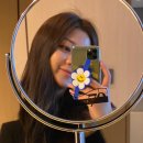 정방동 대건아파트 옆 | 서귀포 가성비 호텔 노블피아 내돈내산 솔직후기 더블 트윈룸 조식