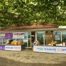 엄마사랑농원