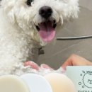 나만의 천연 비누 화장품 이미지