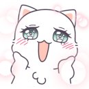 슬리키지헤어포션