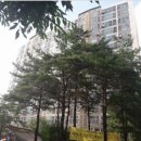 (주)에스에이치 후르츠