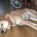 브리즈메디칼 이미지