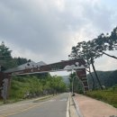 안성내리대로점 네이버블로그