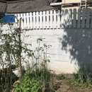 야옹재 | 충북 영동 독채 펜션 야옹재 이용 후기 | 촌캉스, 대전근교, 깔끔