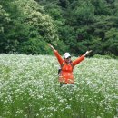 매동초등학교 이미지