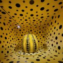 까멜리아 이미지