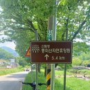 풍년
