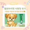 마이펫 | 강아지치약 리뷰 | 다이소 헬로마이펫 식빵향 실사용 후기