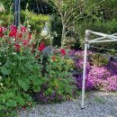 장미펜션 이미지