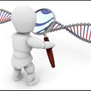 테마주 정리 :: 유전자 (치료제/분석) 관련주 이미지