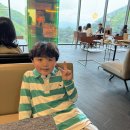 (유)한상건설 - 2921 | 제천 포레스트리솜 식음료, 룸서비스, 막걸리반상, 조식뷔페