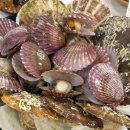 지원이네찜 이미지