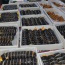 성불유치원 이미지