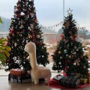 갈평목장 이미지