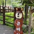 곰배령새소리 이미지