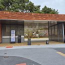 수영구어린이도서관 | [부산아기랑/수영구키즈카페] 예약없이 방문 가능한 도모헌 어린이도서관(+주차, 예약, 모모스 방문 후기)