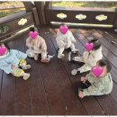 숲속자연어린이집 이미지