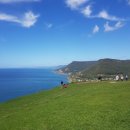 행정사 사무소 효원 이미지