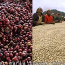 웅구농장 이미지