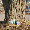 대곡동지석묘군 이미지