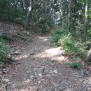 문수산산림욕장 이미지